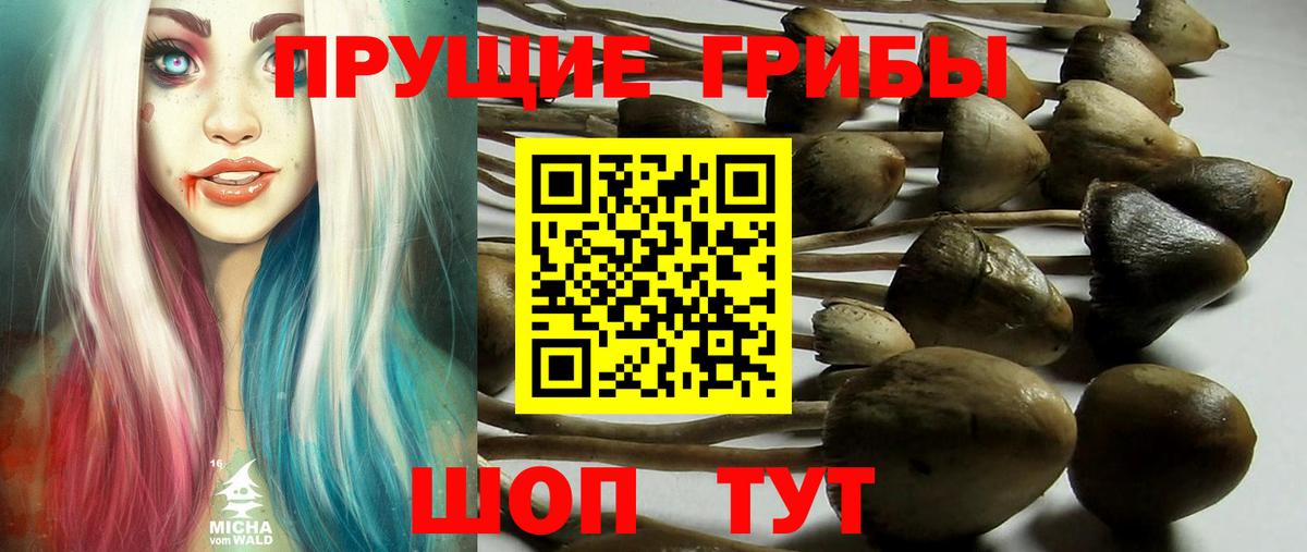 Галлюциногенные грибы Magic Shrooms Нягань